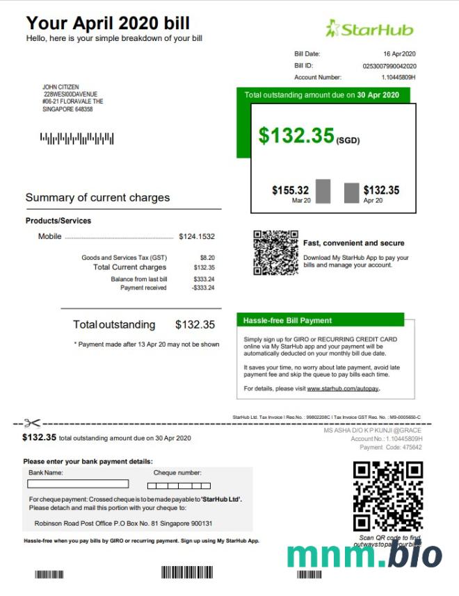 Szablon rachunku za media w Singapurze StarHub w formacie Word i PDF